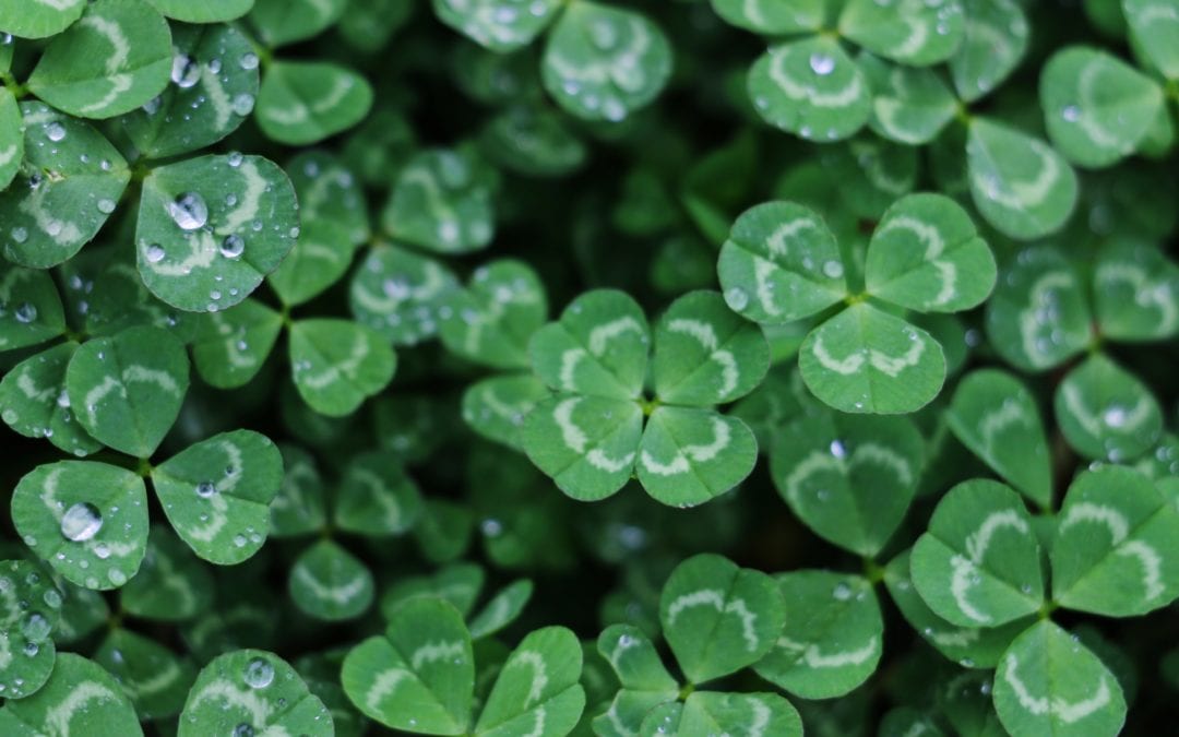 Does Luck Play A Role In Selling Your Business?